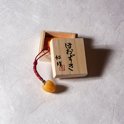 Chinese Lantern Plant